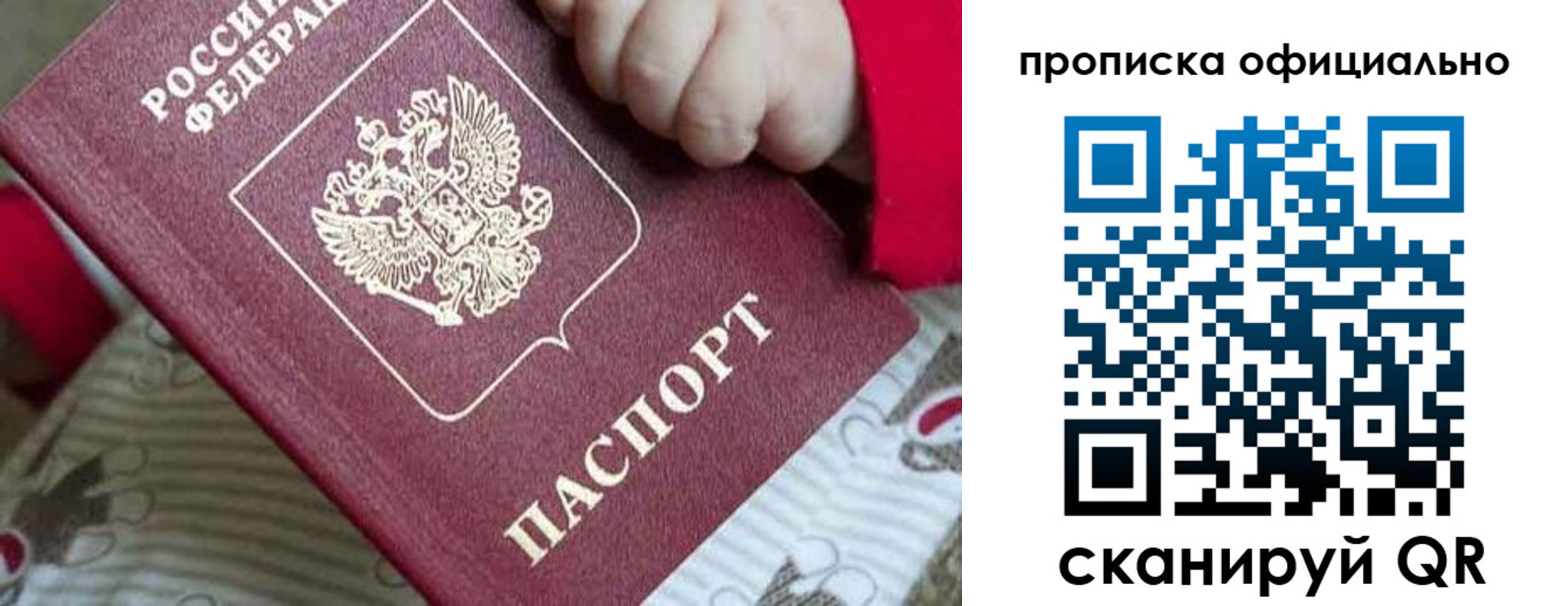 временная регистрация поиск в Алексеевке