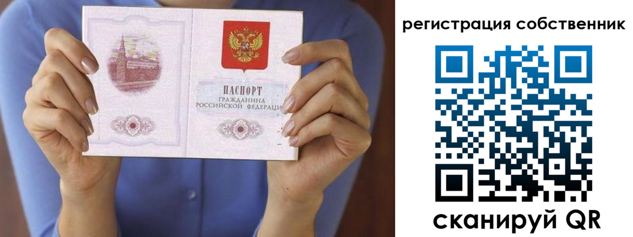 временная регистрация гарантия в Алексеевке
